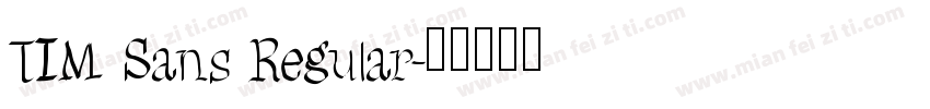 TIM Sans Regular字体转换